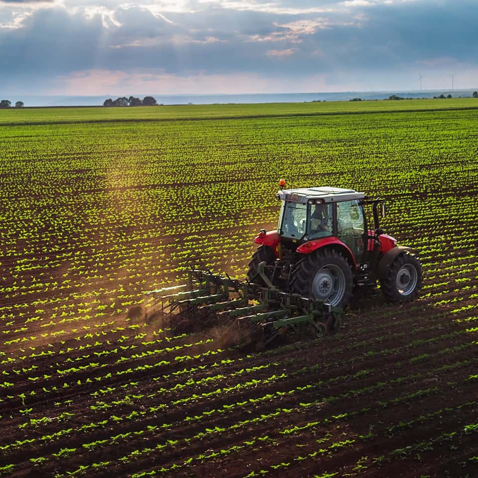 Agriculture